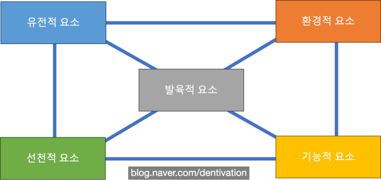 부정교합의 원인요소, 부정교합과 덧니는 유전이 100% 일까요? - 치과교정학 학술