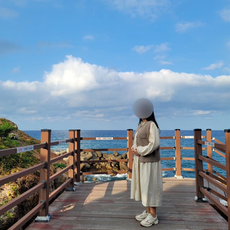  임신 중 운동 효과, 임산부 홈트 추천, 주의할 점