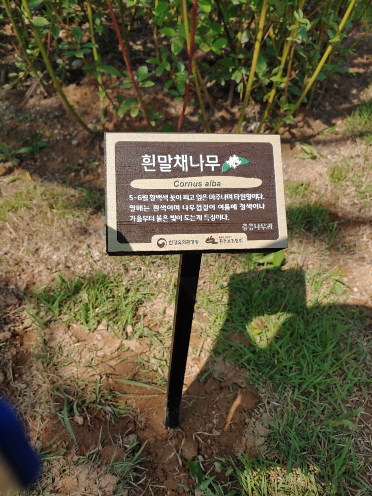  철재지주를 이용한 나무안내판 수목표찰 설치방법 안내