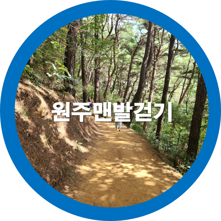  원주맨발걷기 치악산둘레길 운곡솔바람숲길을 사랑하는 가족과 함께 힐링하고왔네요