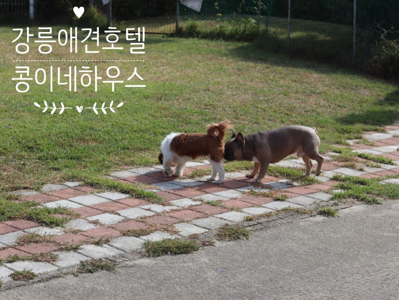 사진 3