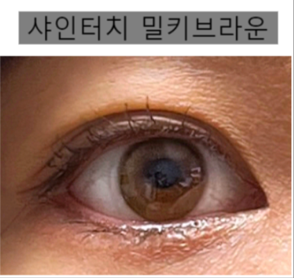 오렌즈 샤인터치 리얼링 톤업렌즈 비교 착샷 오렌즈 샤인터치 리얼링 톤업렌즈 비교 착샷