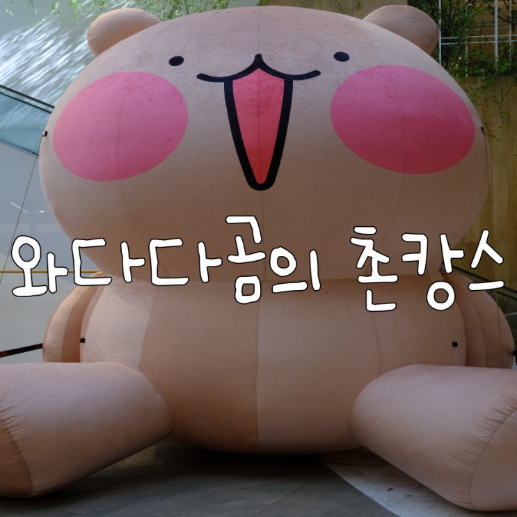 와다다곰의 촌캉스 가을맞이 팝업스토어 더현대대구 10/13~10/26 와다다곰의 촌캉스 가을맞이 팝업스토어 더현대대구 10/13~10/26