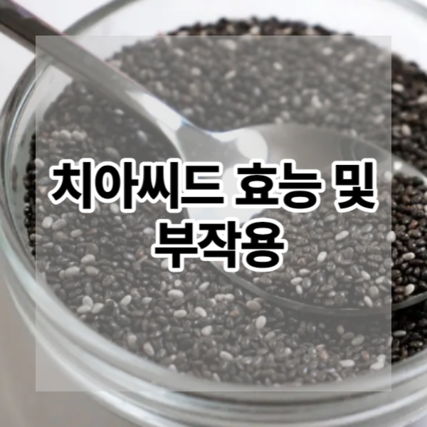  다이어트 건강식품 치아씨드 효능 및 부작용