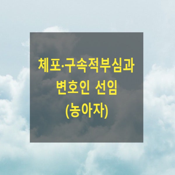  체포·구속적부심과 변호인 선임(농아자)