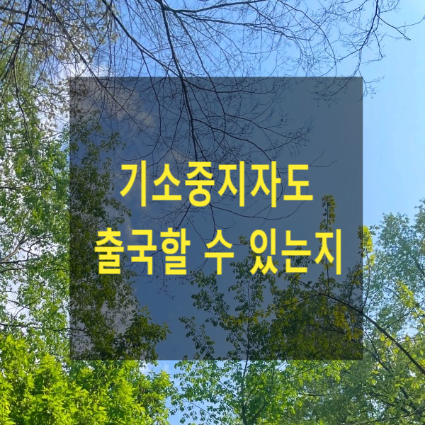  기소중지자가 해외에 출국할 수 있는 방법