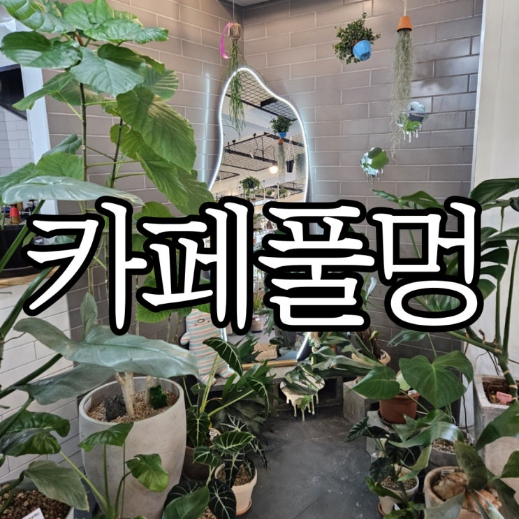  창원성산구상남동 식집사들이 좋아할 브런치카페 카페풀멍