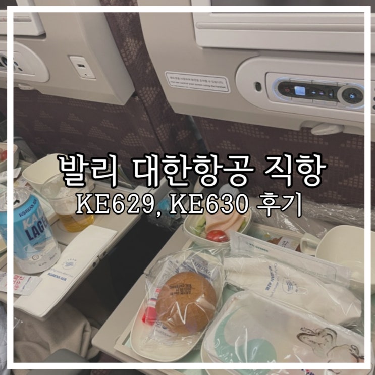  발리 신혼여행 직항 대한항공 인천 비행시간, 기내식, 항공권 가격