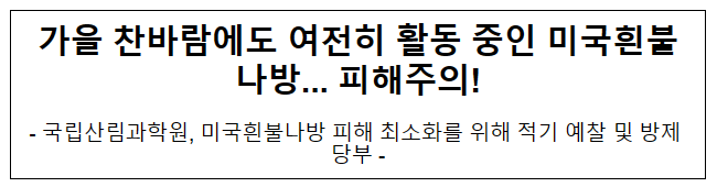 가을 찬바람에도 여전히 활동 중인 미국흰불나방…피해주의!