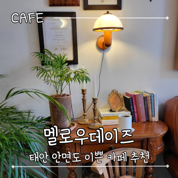  태안 유럽 빈티지한 분위기의 안면도 로스터리 카페 - "멜로우데이즈"