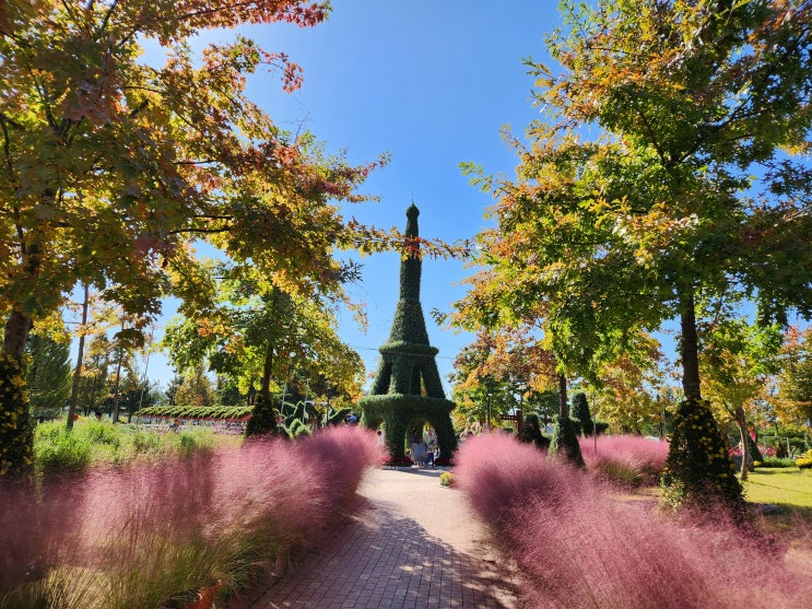 대전 유림공원 국화축제 유성국화전시회 가을 나들이 산책로 볼거리 데이트코스