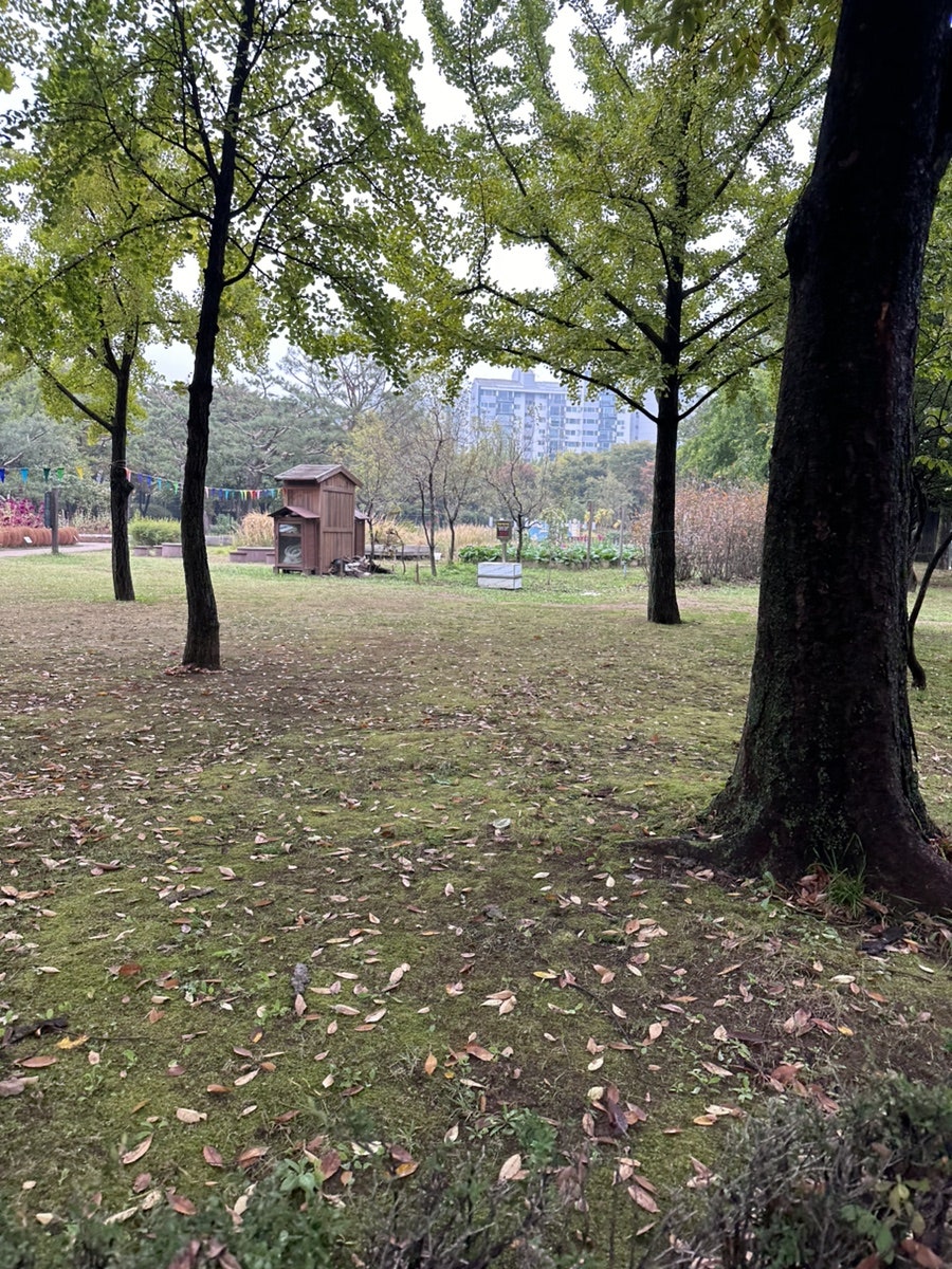 포247 사진 1