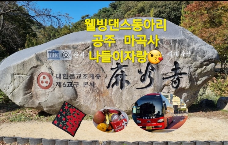 건강웰빙동아리 공주             마곡사 나들이자랑😍💯👍
