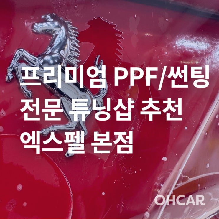  [프리미엄 업체 소개] 강남/서초 프리미엄 PPF, 썬팅 전문 (엑스펠 파이널핏, 셀프힐링 PPF, 프라임 윈도우 필름)