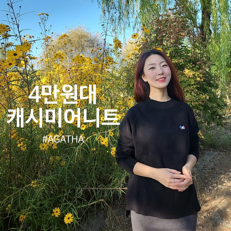  아가타 캐시미어니트 30대 여자니트 추천
