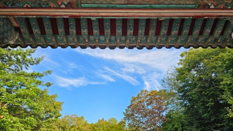  경주 석굴암과 불국사, 편하게 보기, 정체 피하는 법, 한가한 시간대,꿀팁