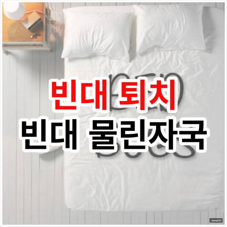  빈대 퇴치 빈대 물린자국 알아보자