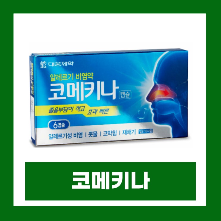  코메키나 캡슐 효과 복용법 부작용 알레르기 비염약