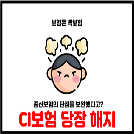  CI보험해지 단점은 CI뜻만 봐도 알 수 있다
