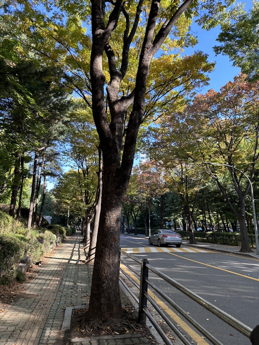 포247 사진 2