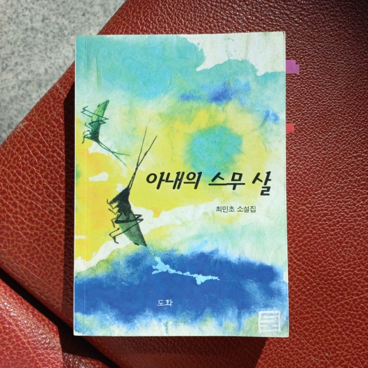  아내의 스무 살 최민초 소설집