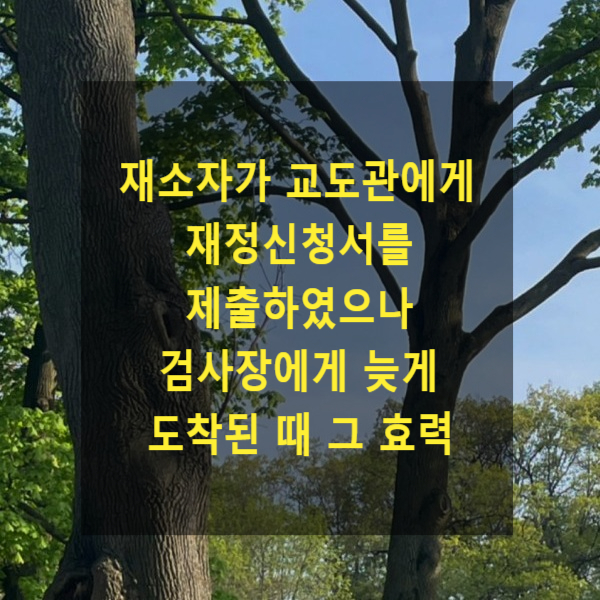  재소자가 교도관에게 재정신청서를 제출하였으나 검사장에게 늦게 도착된 때 그 효력