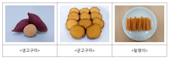 호박고구마 ‘호풍미’, 여주 현장 평가회 열려 호박고구마 ‘호풍미’, 여주 현장 평가회 열려