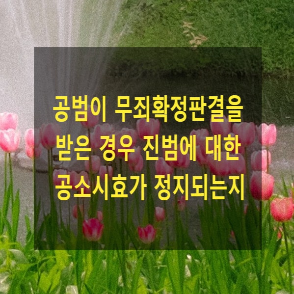  공범이 무죄확정판결을 받은 경우 진범에 대한 공소시효가 정지되는지