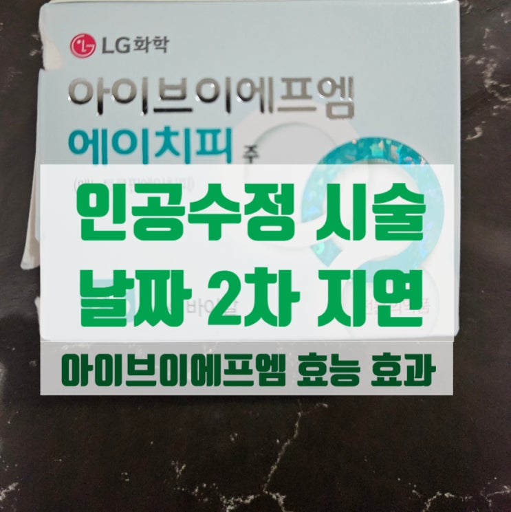  인공수정 2차 시술날짜를 잡기위한 초음파와 아이브이에프엠 효능효과