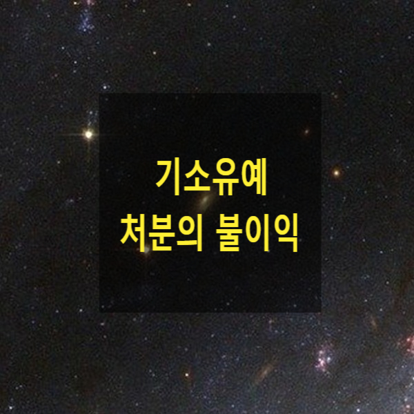  기소유예 처분의 불이익