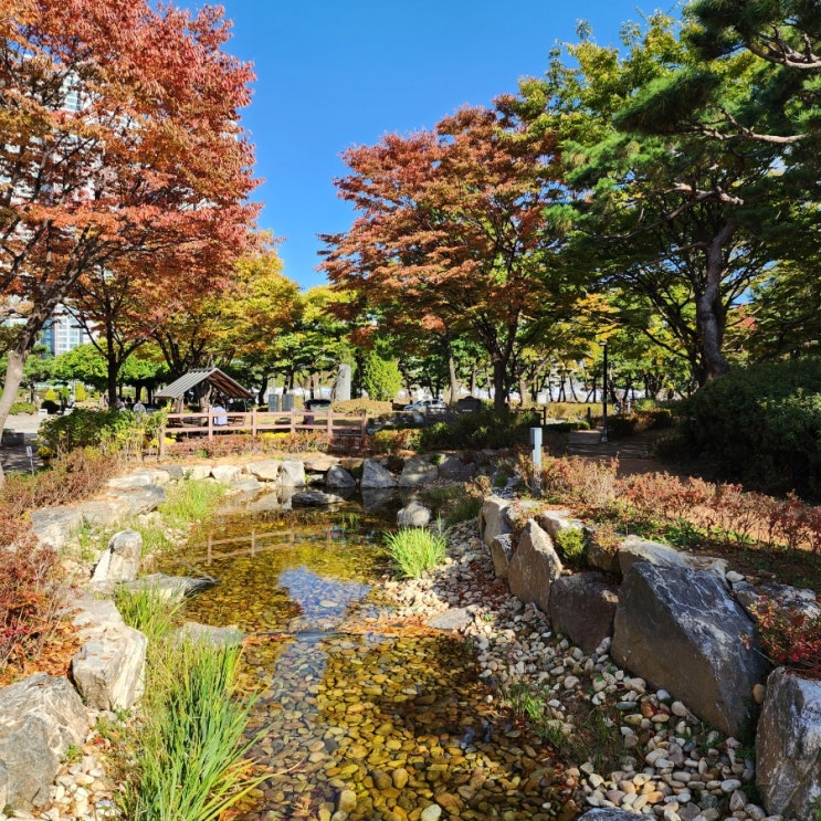 부천중앙공원 가을풍경 사진 기록 10월 21일 토요일