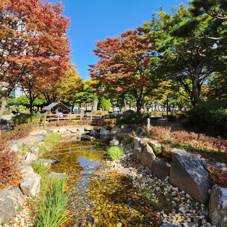  부천중앙공원 가을풍경 사진 기록 10월 21일 토요일