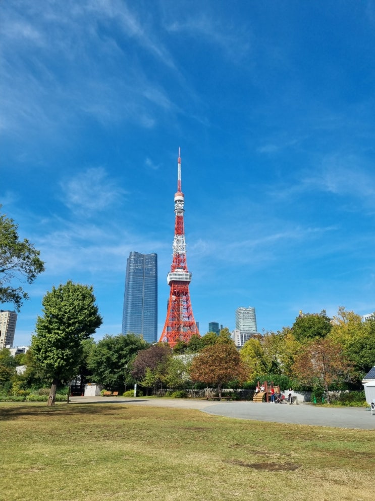 시바공원 도쿄타워가 보이는 곳 도토루커피
