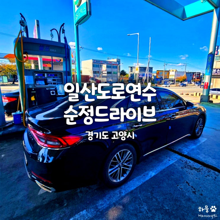  고양/일산운전연수 가성비 개인도로연수 추천, 순정드라이브