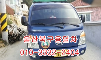 울산북구용달 모화 입실 외동 제주도 불국사 울릉도, 울산북구용달 모화 입실 외동 제주도 불국사 울릉도,