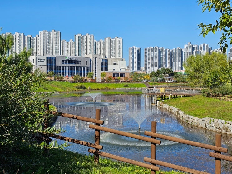  오전 작업을 마치고 옥정 중앙공원을 거처서 옛 청소원들과 점심.