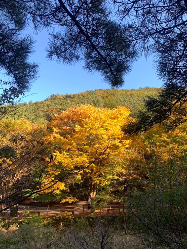  수통골 산책 코스 추천 계룡산 국립공원 대전 유성