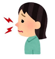  코에 관한 꿈해몽 모음