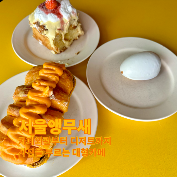 [용산] 카페외관부터 디저트까지 사진을 부르는 대형카페. 서울앵무새 용산점