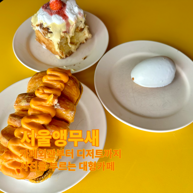 [용산] 카페외관부터 디저트까지 사진을 부르는 대형카페. 서울앵무새 용산점