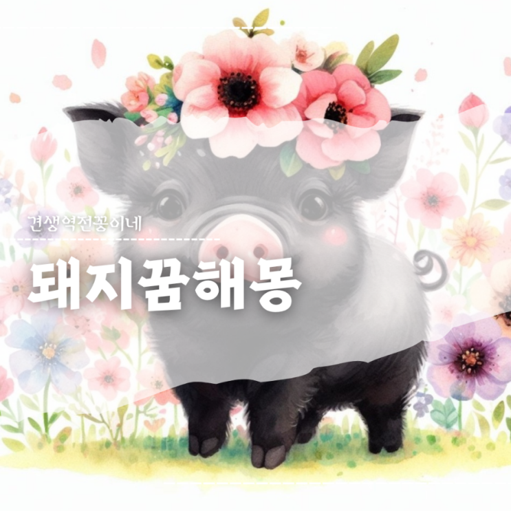  검은 돼지꿈 태몽 돼지나오는꿈 해몽 모음