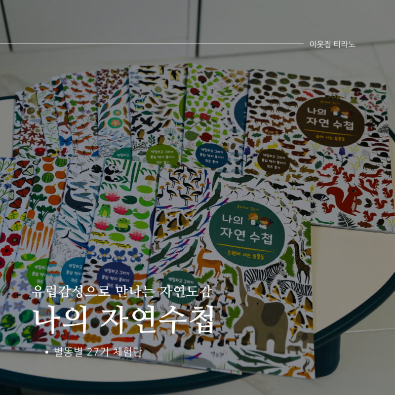 블로그 후기 사진
