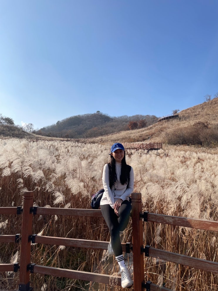  2023 명성산 억새꽃축제 10월14일 - 10월 29일  산정호수와 억새보러 가야해요 온통 새하얗다고요