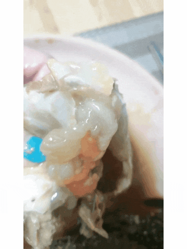  가을제철 밥도둑 잡아라 엄마표 간장게장 레시피 맛나게 만드는 법 보관 방법 먹는법 단짠의조화 홍시