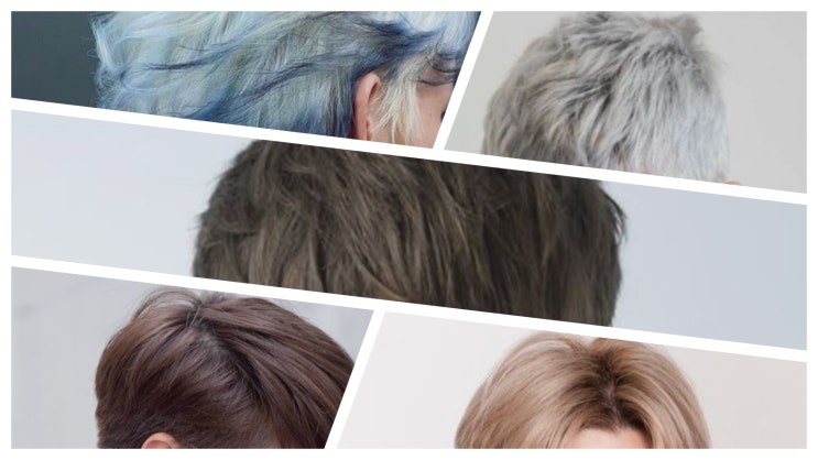 남자 머리 애쉬 염색: 블루, 그레이, 카키, 브라운, 베이지 톺아보기