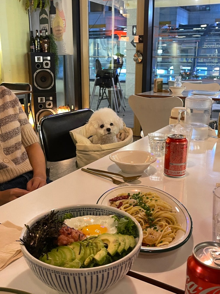  [실내] 송파 위례 애견 동반 식당 오붓식당, 강아지도 가능한 문정동 맛집!
