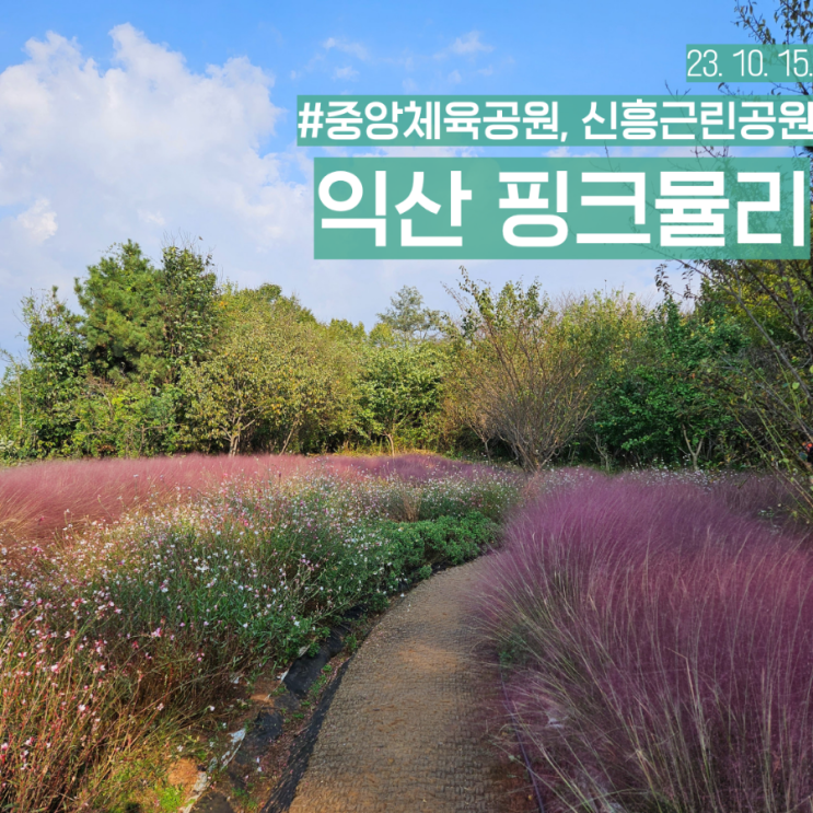  전북 가을 여행지 익산 핑크뮬리 명소 중앙체육공원 신흥근린공원