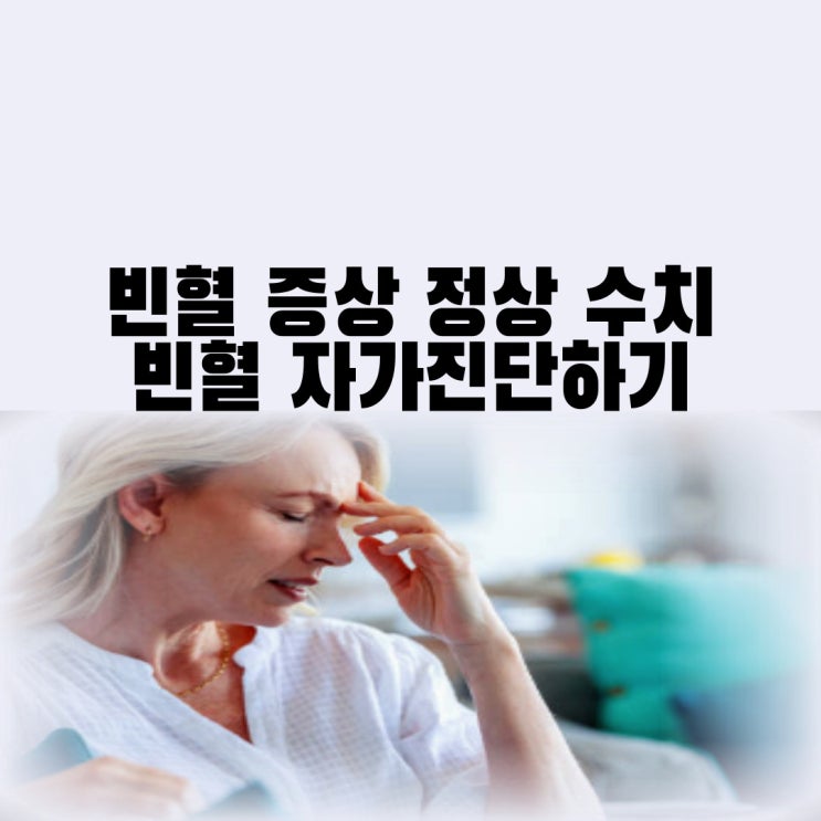 빈혈 증상 및 원인 빈혈수치 정상 자가진단 치료 빈혈에 좋은 음식