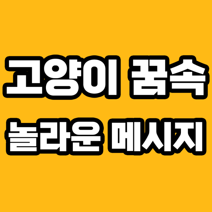  고양이 꿈 해몽: 7가지 의미 철저 분석!