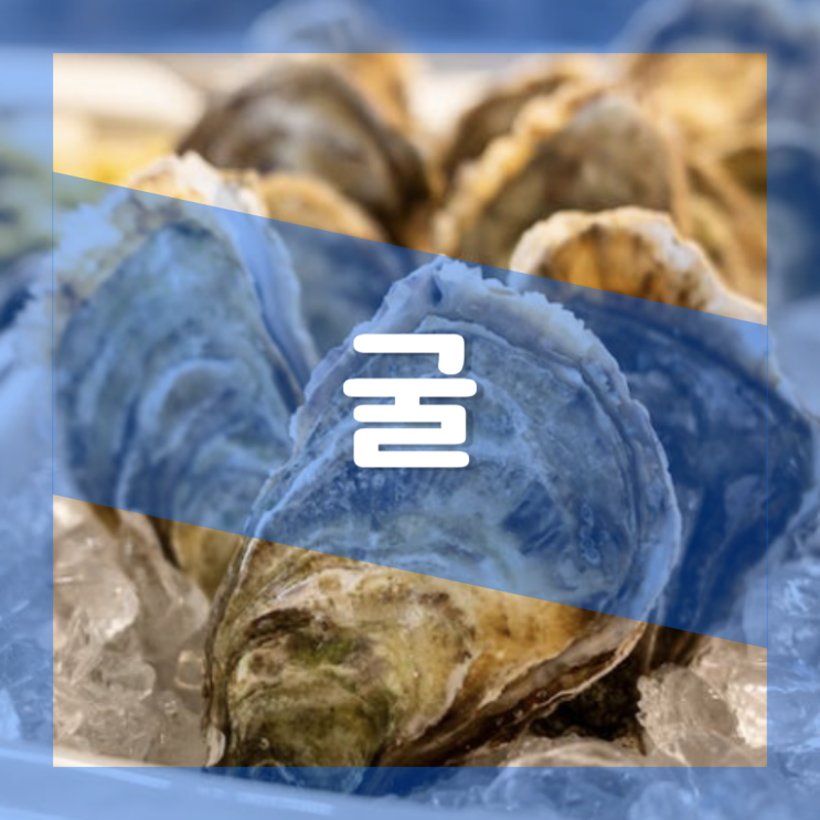  제철 생굴 효능 부작용 노로바이러스 : 칼로리 영양성분 영양소 함유량